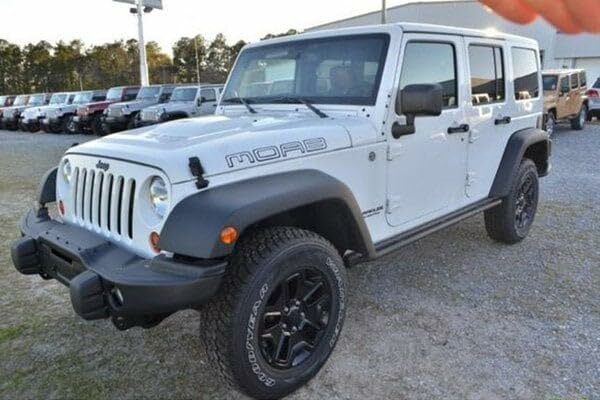 Bulldog Winch (20209 Winch Mount