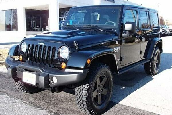 Bulldog Winch (20209 Winch Mount