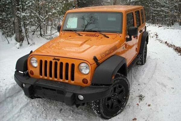 Bulldog Winch (20209 Winch Mount