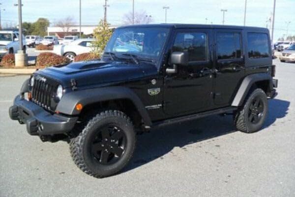 Bulldog Winch (20209 Winch Mount