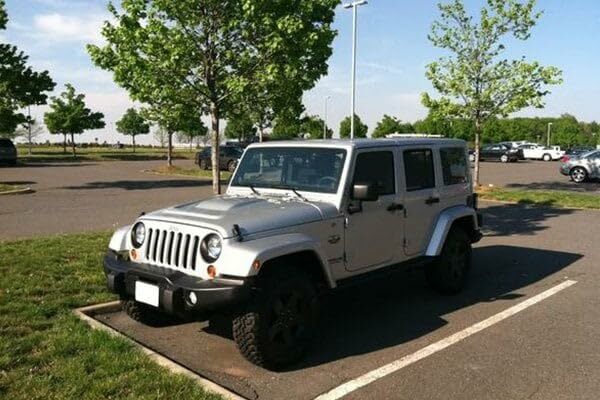 Bulldog Winch (20209 Winch Mount