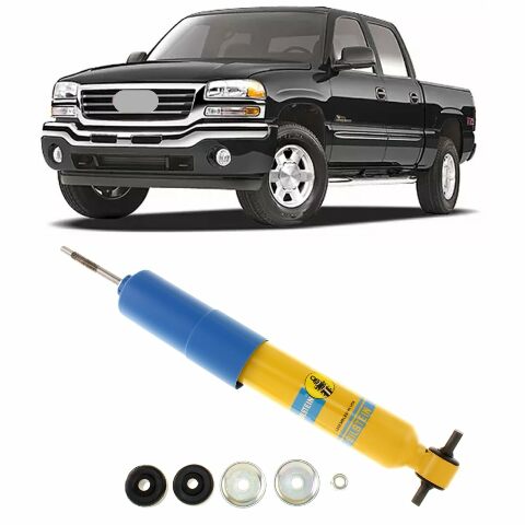 Bilstein 24029025 Shock Stabilizer Compatible with GM Light Truck