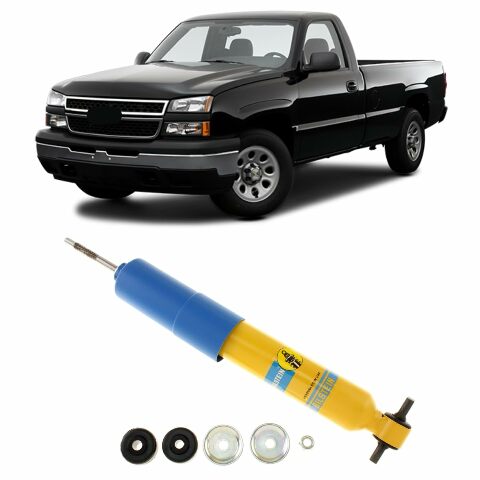 Bilstein 24029025 Shock Stabilizer Compatible with GM Light Truck