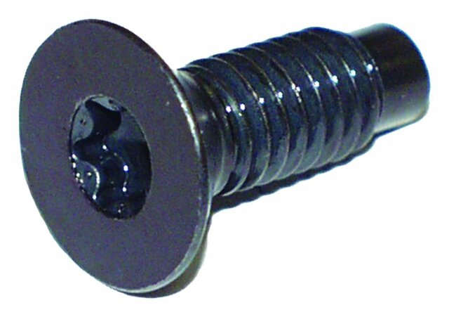 Crown Automotive 6035757 Windshield Hinge Torx Screw