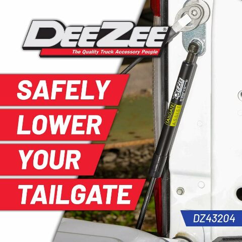 Dee Zee DZ43204 Tailgate Assist Compatible with -Current Ford F150, Multicolor 2015