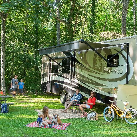 Lippert Replacement 76" Snap Trim Screw Cover Compatible with Radius Screen Door on 5th Wheel RVs, Travel Trailers and Motorhomes - 326192