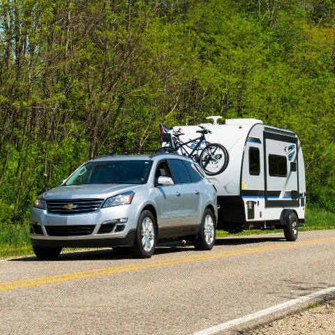 Kwikee Lippert RV Battery Tray Replacement Strap, 33" Long x 3/4" Width, Metal Hooks, Quick Disconnect Clip, Adjustable Buckle Compatible with Easy Access - 366510