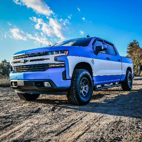 Westin 21-54135 PRO TRAXX 5 in. Oval Nerf Step Bars