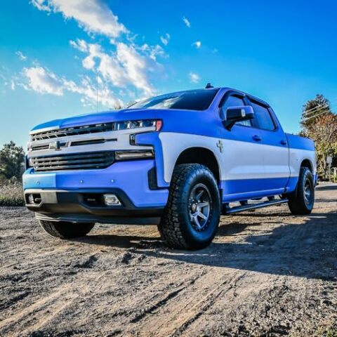 Westin 21-54135 PRO TRAXX 5 in. Oval Nerf Step Bars