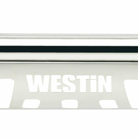 Westin 315490 E-Series Bull Bar for F-150 2010
