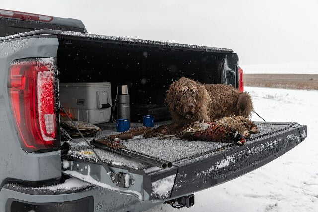 Bedrug Tailgate Mat | Compatible with - Dodge Ram, 2019 - 2024 Ram (Classic Body) - 2022 Ram 2500/3500, Charcoal Grey. | BMT02TG 2018