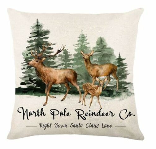 Fenza Custom Christmas Pillow Covers For Family, Linen Double Side Printed Pattern Throw Pillow, 1 Piece Set 18X18 Pillow, Inserts Are Not Included Or Sold Separately (Y-266)