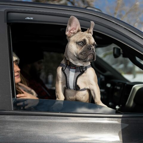 Auto Ventshade [AVS] Outside Mount Rain Guards Compatible with -  Cadillac Escalade ESV;  -  Chevrolet Suburban;  -  GMC Yukon | Window Vent Visors, 4 pcs. - Smoke | 94966 2020