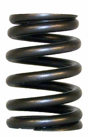 Crown Automotive 53010388 Valve Spring