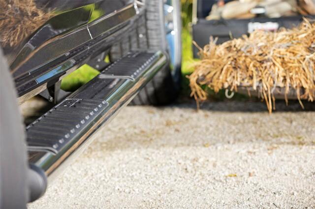 Dee Zee DZ16123 6" Oval Stainless Steel Side Steps