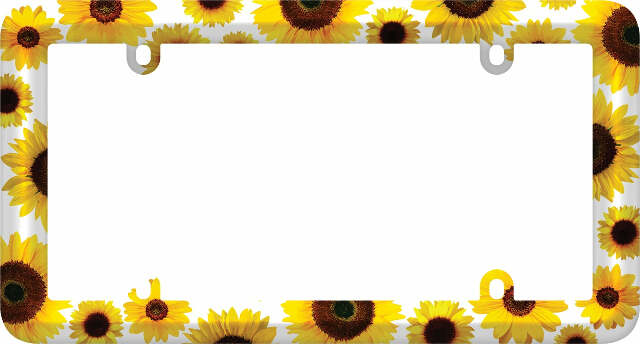 Cruiser Accessories 23804 License Plate Frames