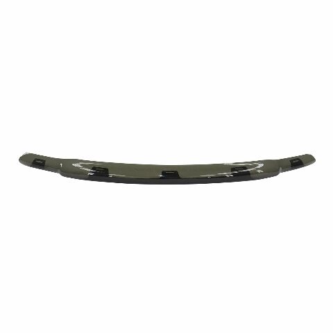 Westin 72-94134 Platinum Bug Shield Fits 09-22 1500 1500 Classic Ram 1500
